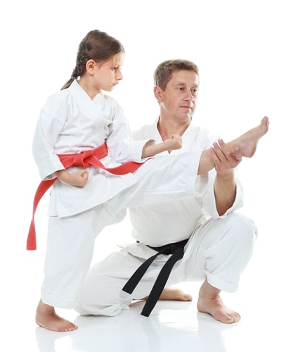A martial arts school will only be as good as the training plan developed by instructors before classes are even taught.