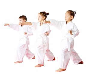 Martial arts provides many more benefits beyond teaching students to fight.
