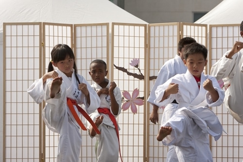 There is much debate on how old a child should be to begin taking martial arts classes.