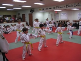 us_taekwondo_center_3-bbf83f75e1f4102563982ba21e0bdbfe