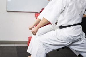 Two black belts practice the same form simultaneously.