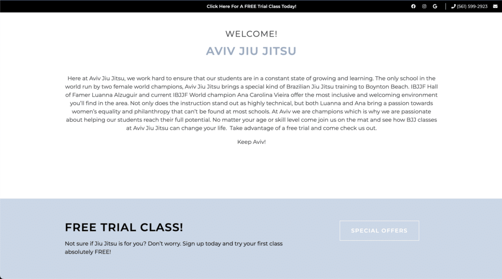 Aviv Jiu Jitsu