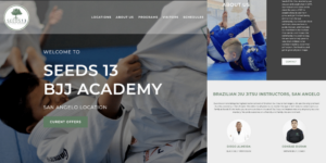 Seed's BJJ Website