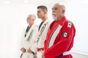 three martial arts sensei masters