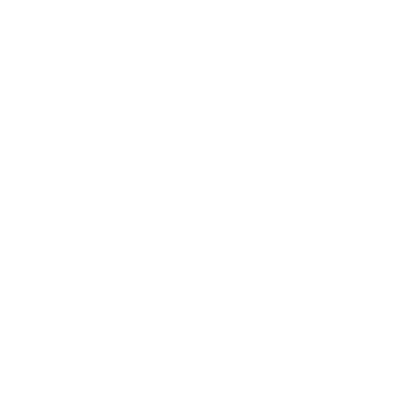 The B Team Jiu Jitsu logo